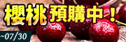 櫻桃預購中