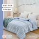 BELLE VIE 韓版大方格 Q彈牛奶絨保暖羽絲絨冬被 (150x200cm) 任選 可水洗 防靜電 棉被